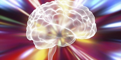 Executive Function / Cognitive Skills